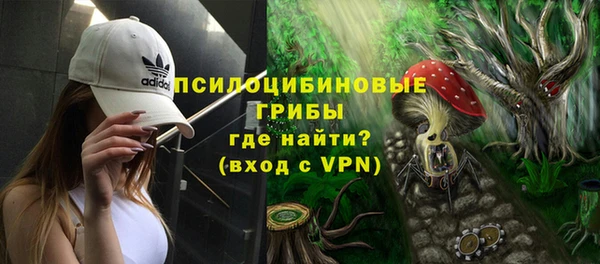 СК Лиски
