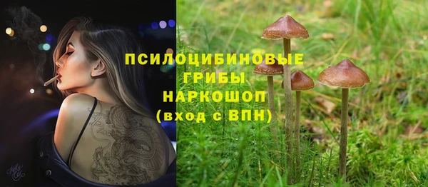 СК Лиски