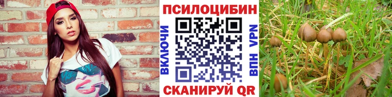 ссылка на мегу рабочий сайт  Нестеровская  Псилоцибиновые грибы Magic Shrooms 